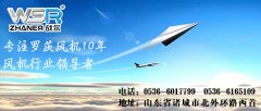 河北绿巨人成人网站入口市场的发展